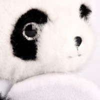 Jucărie de pluș Histoire d'Ours Panda Magnetic 30cm (HO3361) imaginea #5 — magazin online Desire.md