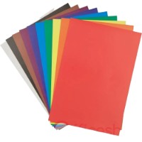 Carton Combinatul Poligrafic A4/10p (000919)