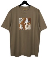Мужская футболка Soling Why Brown, s.XL (Print-why)