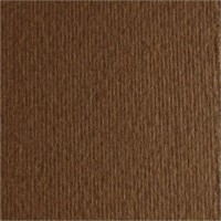 Carton Fabriano Elle Erre 70x100cm Marrone