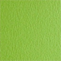 Carton Fabriano Elle Erre 70x100cm Verde Piselo imaginea #1 — magazin online Desire.md