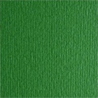 Картон Fabriano Elle Erre 70x100cm Verdone фото №1 — интернет-магазин Desire.md