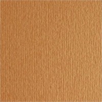 Картон Fabriano Elle Erre 70x100cm Avana