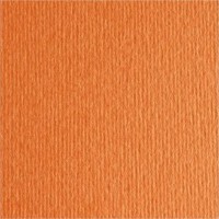 Картон Fabriano Elle Erre 70x100cm Aragosta