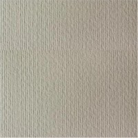 Картон Fabriano Elle Erre 70x100cm China