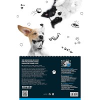 Carton Kite A4/10p (K22-254) imaginea #2 — magazin online Desire.md