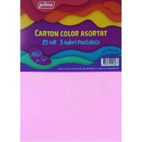 Картон Primo A4/25p (PM1210)