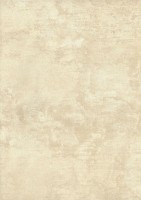 Tapete Parato Concetto 9882