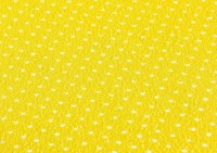 Disc de șlefuit Graphite 58T276 imaginea #3 — magazin online Desire.md