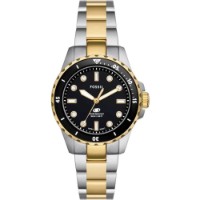 Наручные часы Fossil ES5349