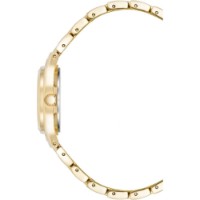 Ceas de mână Anne Klein 10/5490MVGB imaginea #3 — magazin online Desire.md