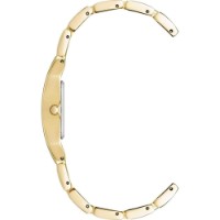 Наручные часы Anne Klein 10/6418CHGB фото №2 — интернет-магазин Desire.md