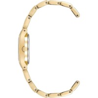 Наручные часы Anne Klein 10/6776CHGB фото №2 — интернет-магазин Desire.md