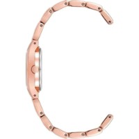 Ceas de mână Anne Klein 10/6776SVRG imaginea #2 — magazin online Desire.md
