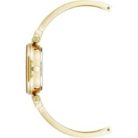 Наручные часы Anne Klein AK/1980WTGB фото №2 — интернет-магазин Desire.md