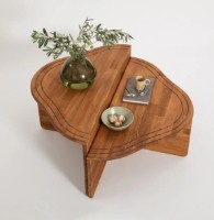 Журнальный столик Trendy Altopiano Chestnut 90x45x40cm GTR000881 фото №3 — интернет-магазин Desire.md