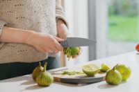 Кухонный нож BergHOFF Balance 11cm (3950521) фото №2 — интернет-магазин Desire.md