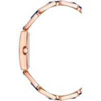 Наручные часы Anne Klein AK/4156BLRG фото №2 — интернет-магазин Desire.md