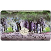 Парфюмерное мыло Nesti Dante Emozioni in Toscana Enchanting Forest 250g