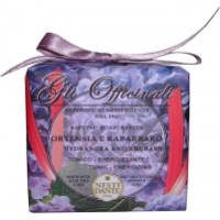 Săpun parfumat Nesti Dante Gli Officinali Hydrangea & Rhubarb 200g
