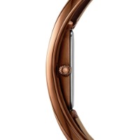 Ceas de mână Diesel DZ5630 imaginea #3 — magazin online Desire.md