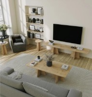 Журнальный столик Trendy Ciuperca Oak 120x60x50cm GTR000909 4pcs фото №2 — интернет-магазин Desire.md