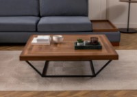 Журнальный столик Trendy Cora Walnut/Black 100x32x100cm GTR006174 фото №2 — интернет-магазин Desire.md