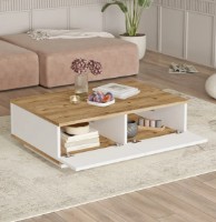 Măsuţă cafea Trendy FR14-AW Pine Atlantic/White 90x60x28.6cm GTR000737 imaginea #2 — magazin online Desire.md