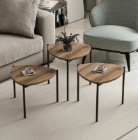 Журнальный столик Trendy Lenny Walnut/Black 45x45x45cm GTR003971 3pcs фото №4 — интернет-магазин Desire.md