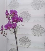 Rolete textile Delfa СРШ-44802 34x160cm imaginea #4 — magazin online Desire.md