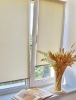 Rolete textile Delfa СРШ-312302 62x170cm imaginea #3 — magazin online Desire.md