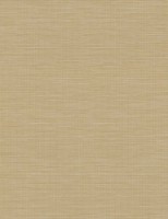 Rolete textile Delfa СРШ-312302 68x170cm imaginea #4 — magazin online Desire.md