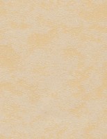 Rolete textile Delfa СРШ-77012 48x170cm imaginea #5 — magazin online Desire.md