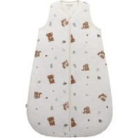 Plic pentru bebeluși Premaman 6-18m (PCIEZ4-ECR-T02) imaginea #2 — magazin online Desire.md