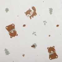 Plic pentru bebeluși Premaman 6-18m (PCIEZ4-ECR-T02) imaginea #4 — magazin online Desire.md