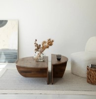 Журнальный столик Trendy Neptun Walnut 90x60x30cm GTR000912 2pcs фото №2 — интернет-магазин Desire.md