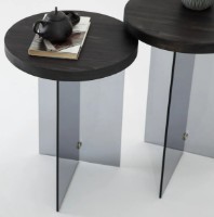 Журнальный столик Trendy Serenity Anthracit/Fume 51x35x35cm GTR000904 2pcs фото №2 — интернет-магазин Desire.md