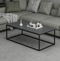 Măsuţă cafea Trendy Tigru Anthracit/Black 120x42x60cm GTR003736 imaginea #3 — magazin online Desire.md