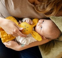 Плед-игрушка Petite&Mars Hugo Dusty Rose (4168209) фото №4 — интернет-магазин Desire.md