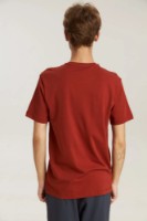 Мужская футболка Bumbacel MT55146K_1540_M5 Red, s.XXXL фото №2 — интернет-магазин Desire.md