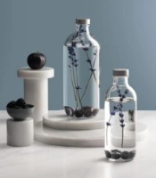 Sticlă Pasabahce Iconic 540ml (80355) imaginea #2 — magazin online Desire.md