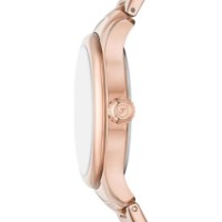 Наручные часы Fossil ES5394 фото №3 — интернет-магазин Desire.md