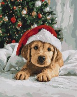 Tablou pe numere Brushme Fluffy New Year's Friend (BS54505)