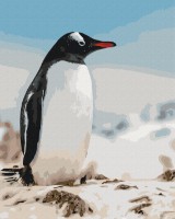 Tablou pe numere Brushme Penguin Sergey Glotov (BS54260)