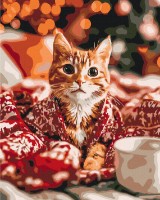 Tablou pe numere Brushme Purring Christmas (BS54499)