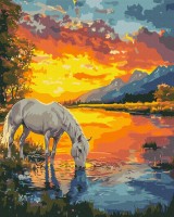 Tablou pe numere Brushme Лошадь на рассвете 40х50cm (BS54417)