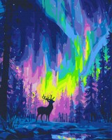 Tablou pe numere Brushme Полярное сияние 40x50cm (BS54493)