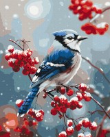 Картина по номерам Brushme Птичка на морозной ветке 40x50cm (BS54498)