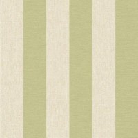 Tapete Superfresco Midas 20-785