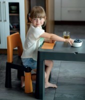 Scaun pentru copii Tega Baby Multifun Graphite/Mustard (TI-023-172) imaginea #2 — magazin online Desire.md